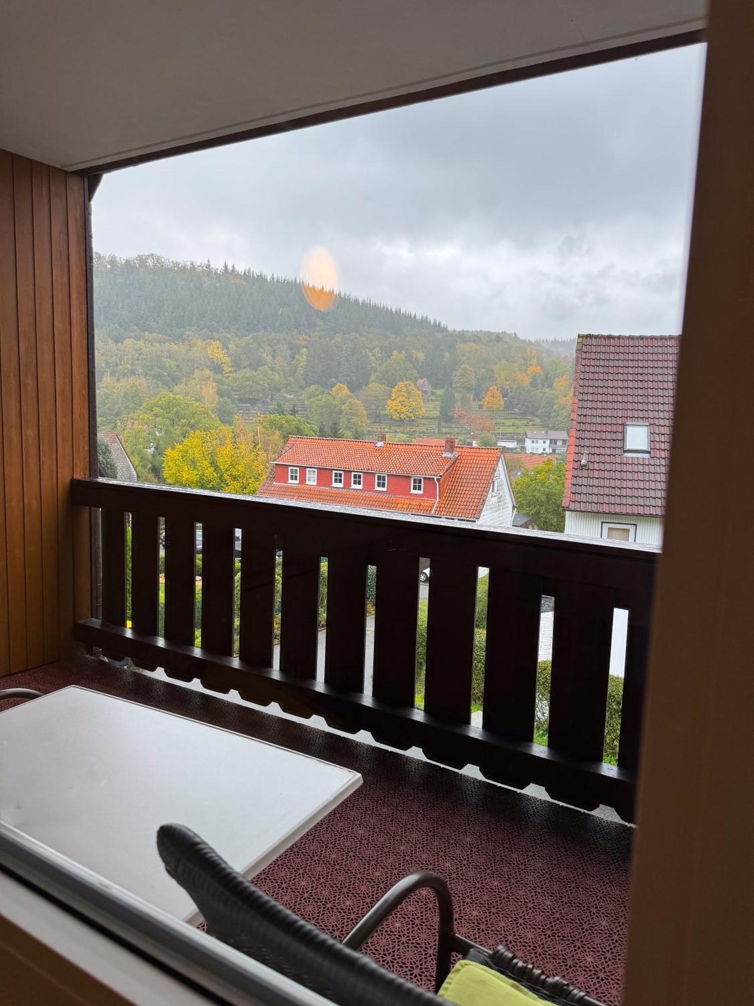 Harzhotel Gruenett Langelsheim Dış mekan fotoğraf